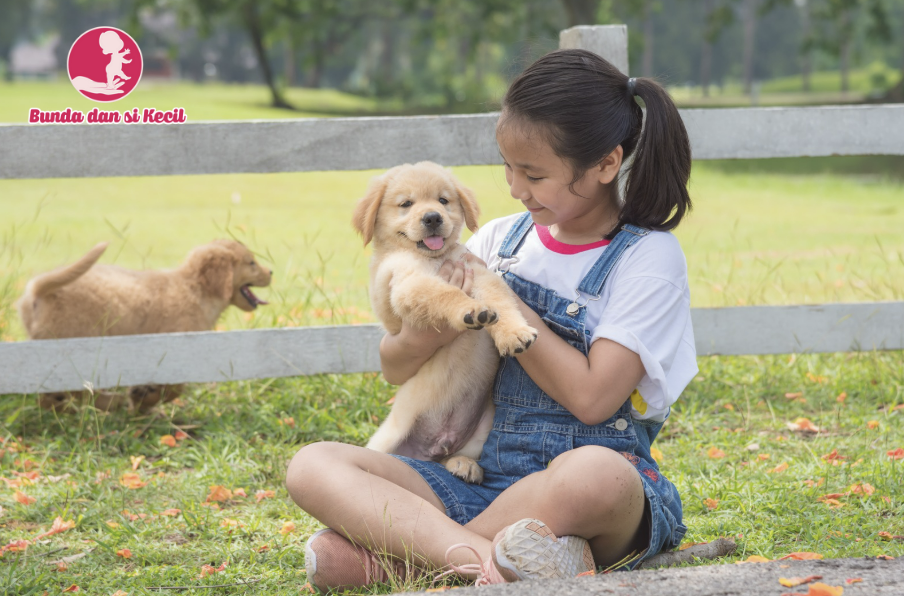 Manfaat Si Kecil Bermain dengan Hewan: Belajar Empati dan Tanggung Jawab sejak Dini